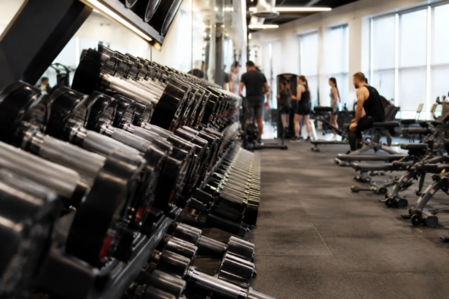 Gyms and health clubs fitness equipment service