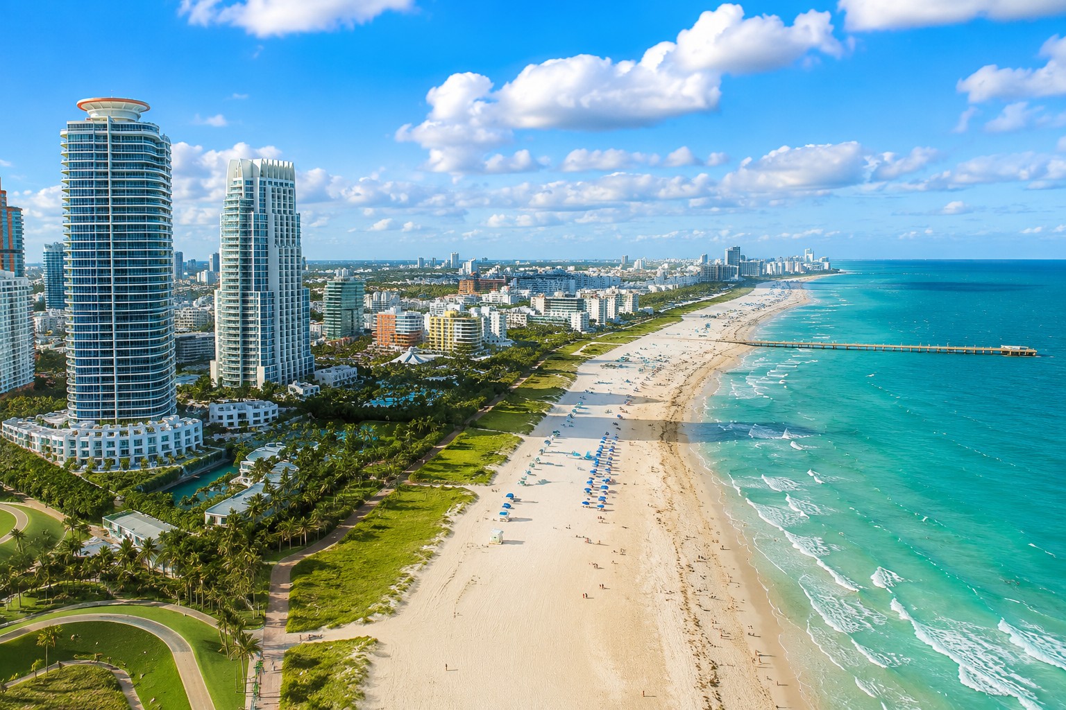 Palm trees and coastline representing Gym Service coverage across Florida